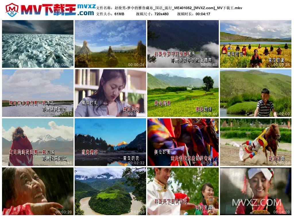 赵俊男-梦中的雅鲁藏布_国语_流行_ME401052
